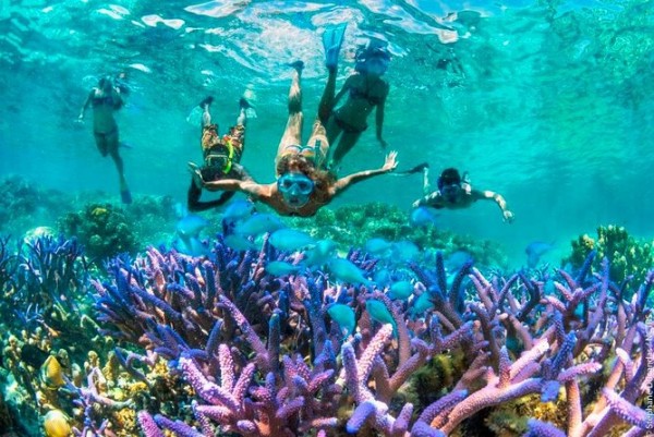 Snorkeling at Blue Lagoon with Private Pick Up