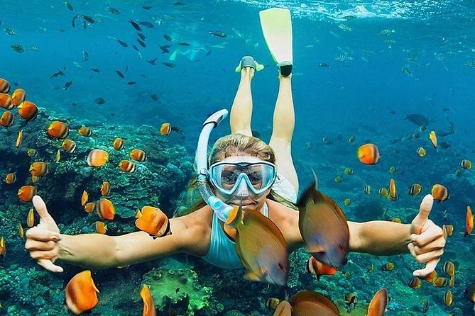 Snorkeling at Blue Lagoon with Private Pick Up